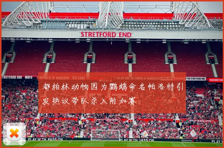 都柏林动物园为鹦鹉命名帕洛特引发热议带队杀入附加赛
