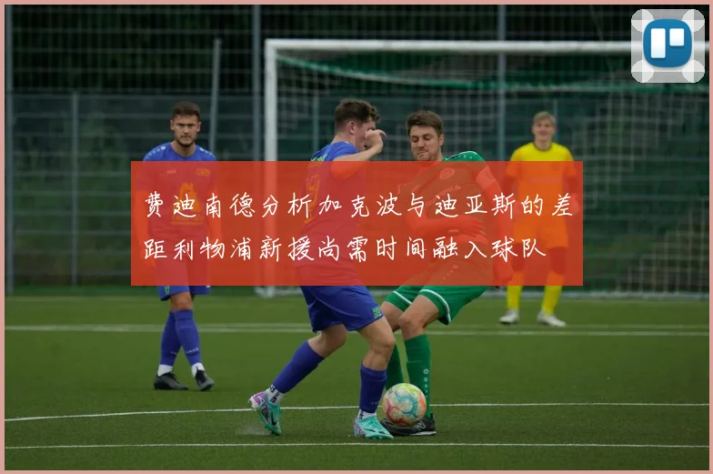 费迪南德分析加克波与迪亚斯的差距利物浦新援尚需时间融入球队