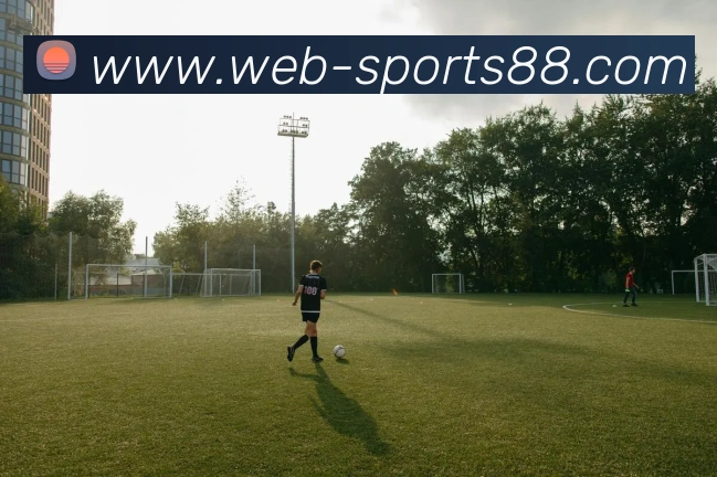 多媒体互动体验